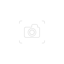 Epson M100
